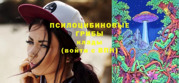 ГАЛЛЮЦИНОГЕННЫЕ ГРИБЫ Верхний Тагил
