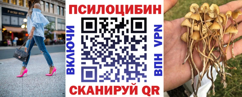 Галлюциногенные грибы Psilocybine cubensis  купить наркотики цена  ссылка на мегу ССЫЛКА  мориарти клад  Горнозаводск 